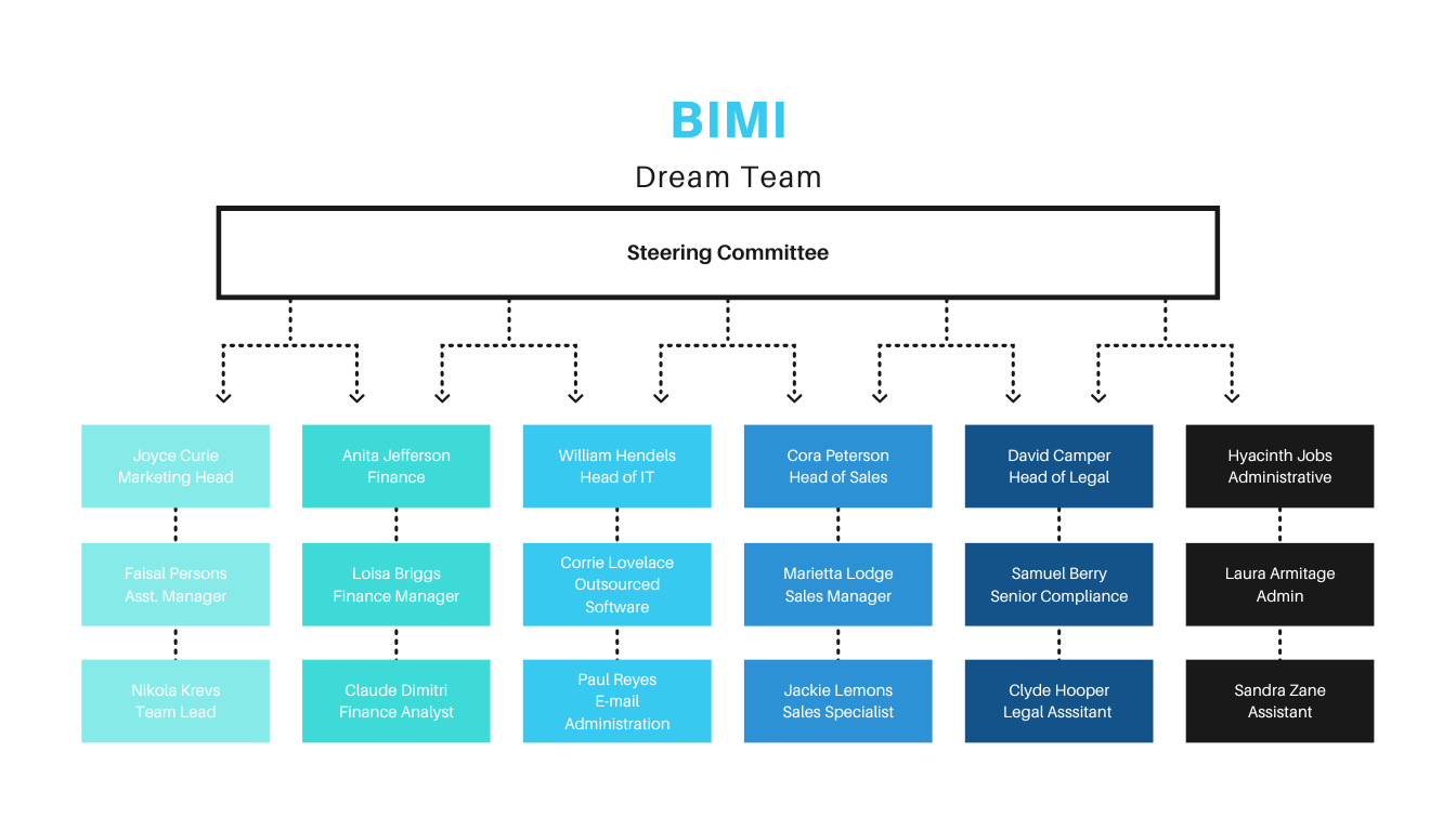 マーケティング、財務、IT、営業、法務、管理部門からなるBIMIドリームチーム図